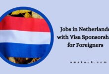 Jobs in Netherlands with Visa Sponsorship for Foreigners