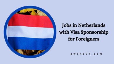 Jobs in Netherlands with Visa Sponsorship for Foreigners