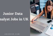 Junior Data Analyst Jobs in UK