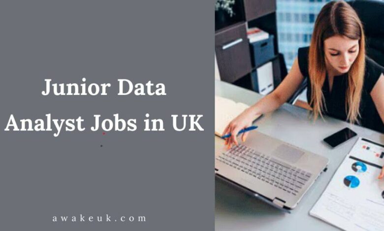 Junior Data Analyst Jobs in UK