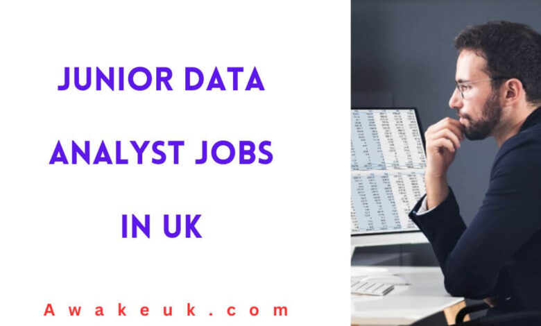 Junior Data Analyst Jobs in UK