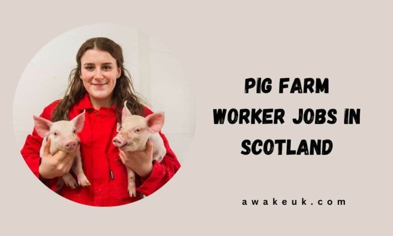 Pig Farm Worker Jobs in Scotland