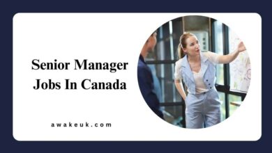 Senior Manager Jobs In Canada