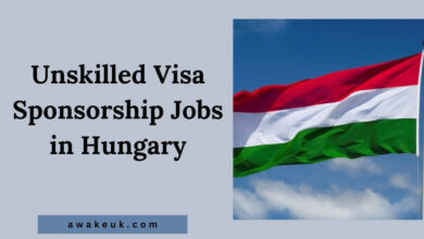 Unskilled Visa Sponsorship Jobs in Hungary