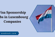 Visa Sponsorship Jobs in Luxembourg Companies