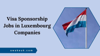 Visa Sponsorship Jobs in Luxembourg Companies