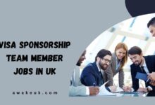 Visa Sponsorship Team Member Jobs in UK